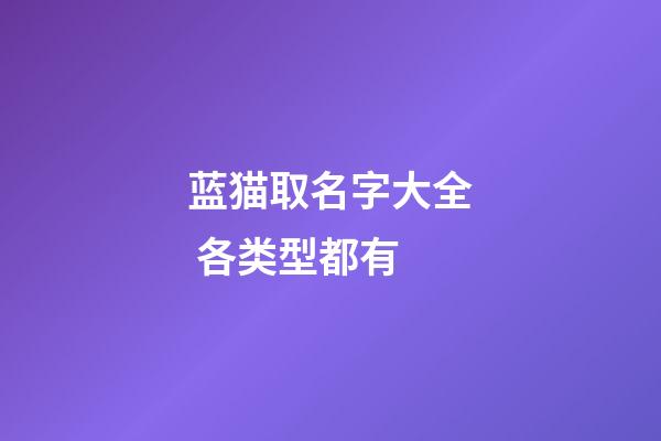 蓝猫取名字大全 各类型都有